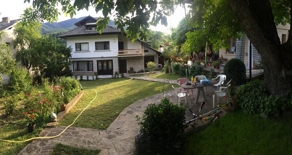 Luylyana Guesthouse Ribarica Exterior photo
