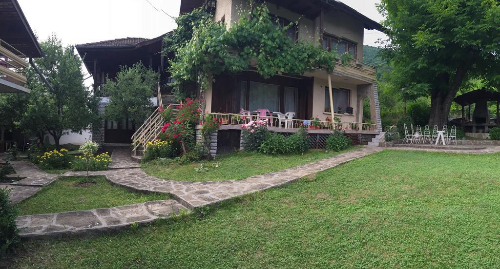 Luylyana Guesthouse Ribarica Exterior photo