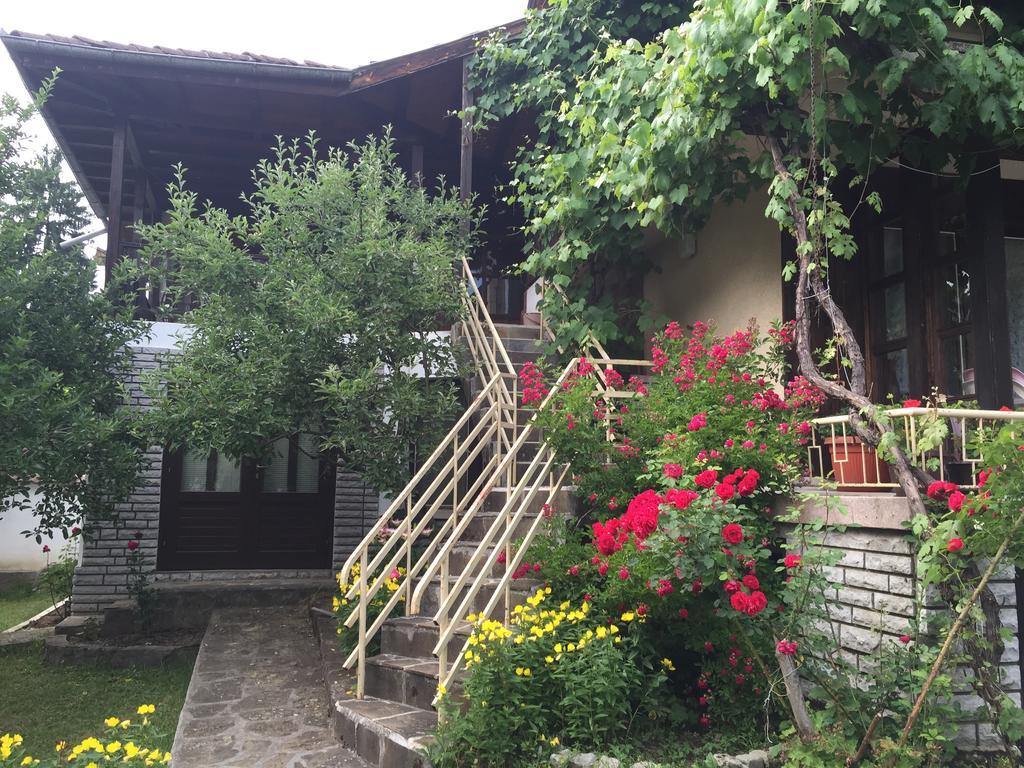 Luylyana Guesthouse Ribarica Exterior photo