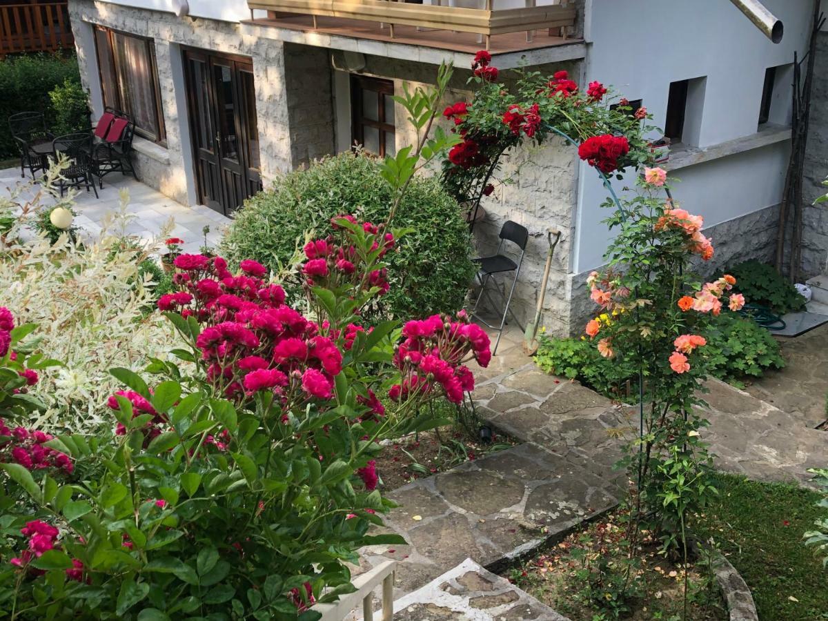 Luylyana Guesthouse Ribarica Exterior photo