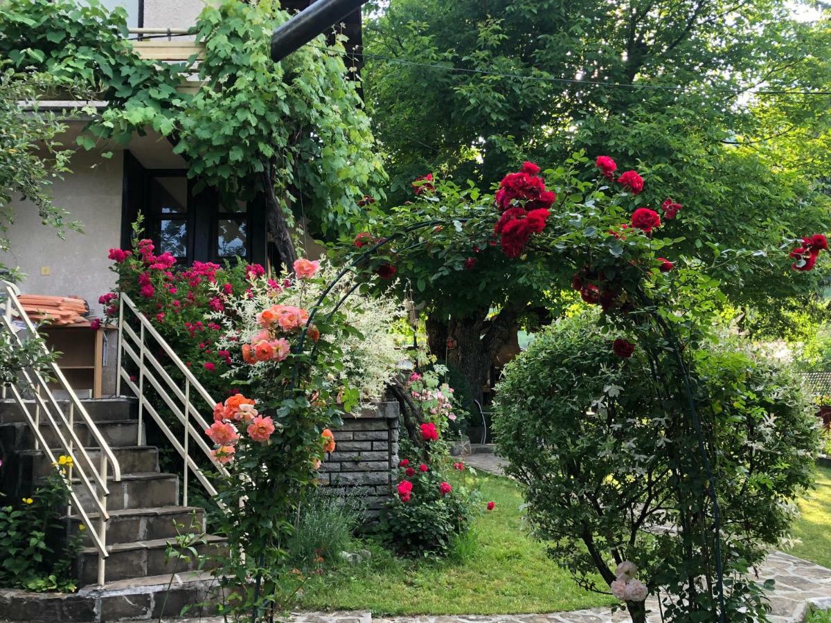 Luylyana Guesthouse Ribarica Exterior photo